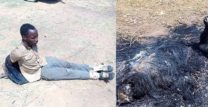 20 Year-Old Man Killed His Father And Burnt Him