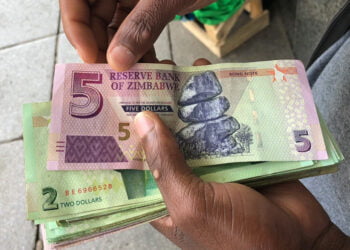 ED hints at strengthening ZW$