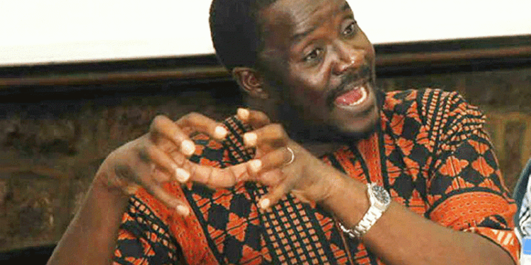Mnangagwa’s Administration Seeking To Change Sadc Traditions And Guidelines