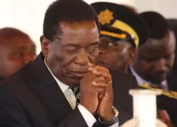 Zambian Politician Lambasted Leaders For Loitering In The US After The End Of The  UNGA78