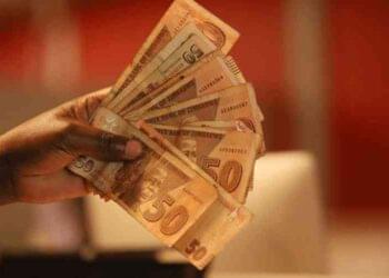 Was Zimdollar’ months of stability, A Campaigning Strategy?