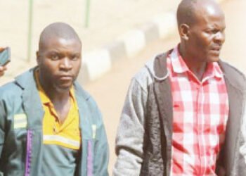DEAL TO SELL PANGOLIN FOR US$12K BACKFIRES