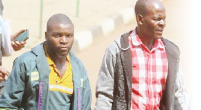 DEAL TO SELL PANGOLIN FOR US$12K BACKFIRES