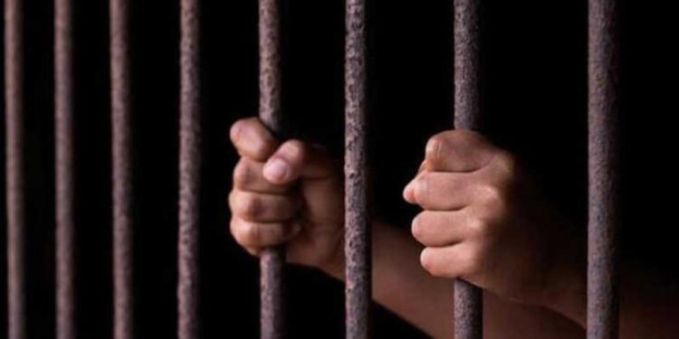 CCC Activist Faces Theft Charges