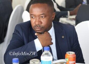 Mafume says arrests, recalls, govt interference hindered council operations