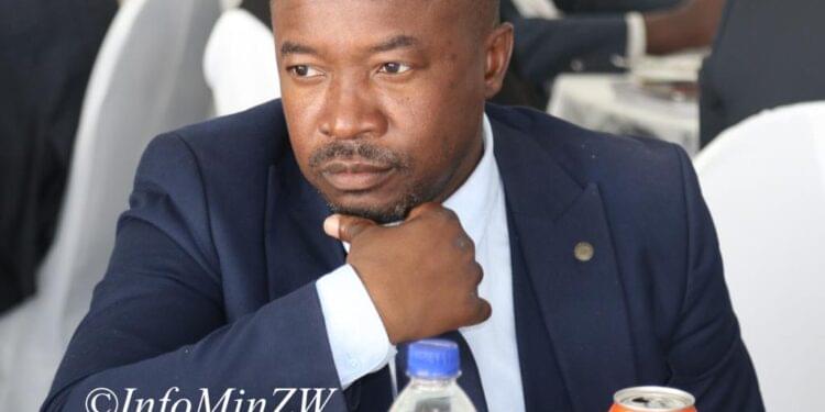 Mafume says arrests, recalls, govt interference hindered council operations