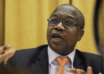 The country’s economy is booming: Mthuli Ncube