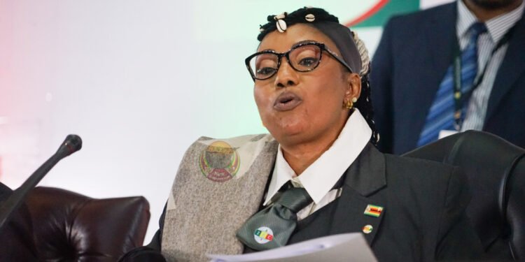 European Union Withdraw Its Intention To Support ZEC With US$5 Million