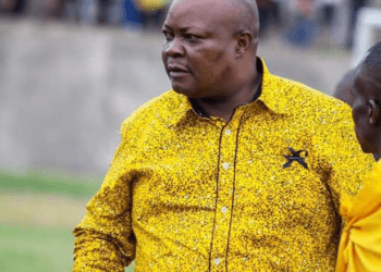 IPU expresses disappointment on Job Sikhala’s continueth incarceration without trial