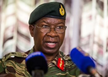 A coup-proofing mechanism as ED appoints army chief : Analysts