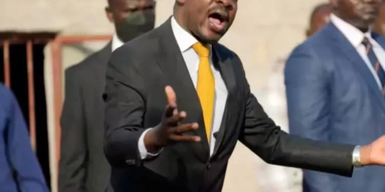 Pull out all CCC MPs, councillors, Chamisa told