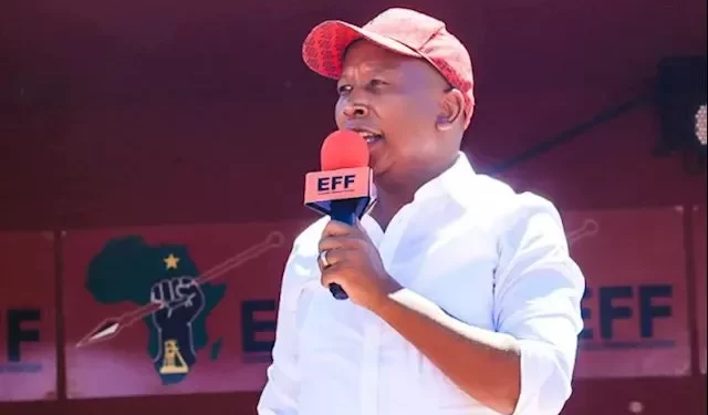 Zanu Pf is a criminal syndicate that steals election says Malema