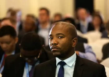 SA opposition leader blasts President Mnangagwa after congratulating SA rugby team