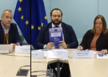 EU EOM issues final report on Zimbabwe’s harmonised elections