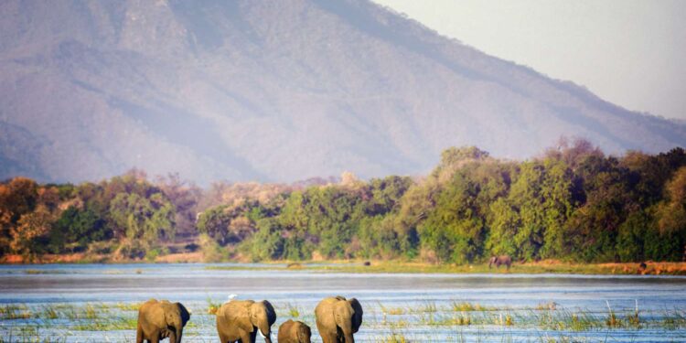 Zimparks signs MoU that aims at unlocking US$23.4 million