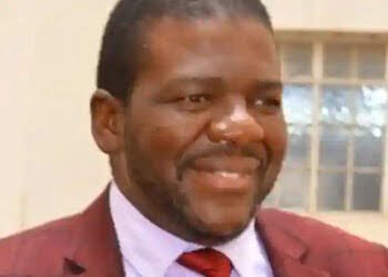 High Court suspends recalls by imposter SG Tshabangu