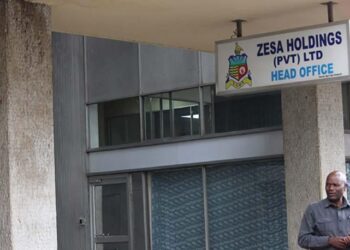 ZESA Enterprise to benefit from Dinson Iron and Steel Company