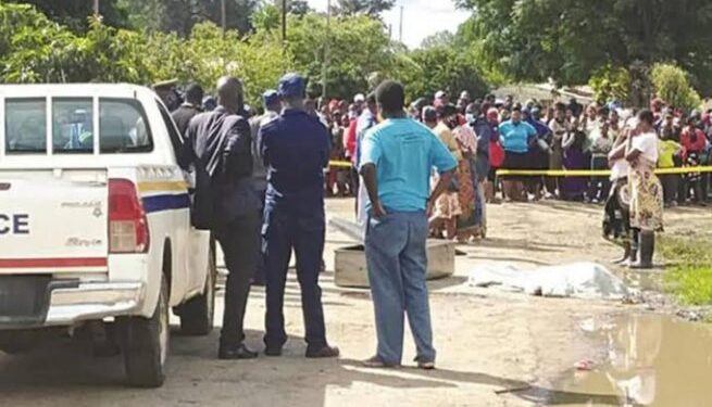 High Court suspends recalls by imposter SG Tshabangu