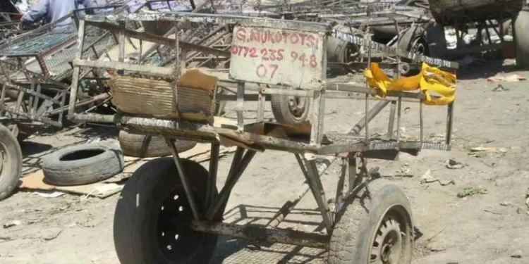 Push carts banned in Bulawayo CBD
