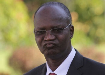 Jonathan Moyo was left enraged after Coltart urged CCC supporters to vote for Zapu