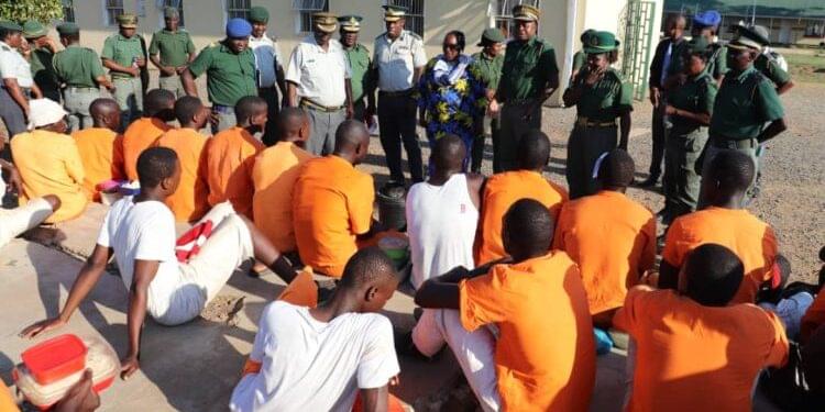 ZimStat reveals increase in prison population during third quarter of 2023