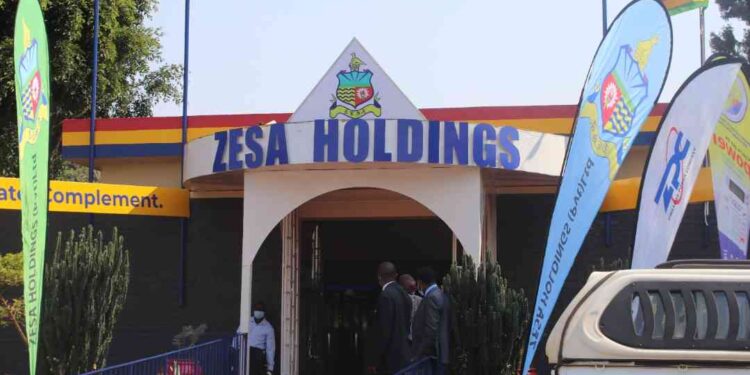 Zesa Holdings signs deals to promote renewable energy