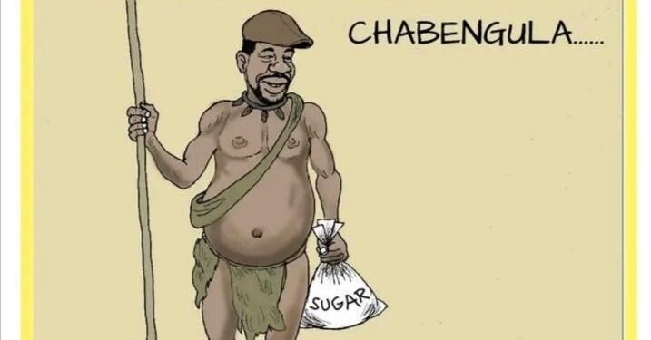 Outrage sparks over tribalist ‘Chabengula’ cartoon