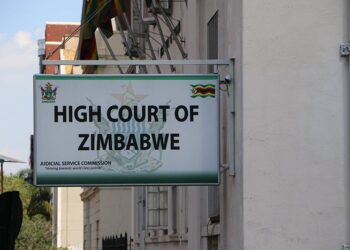 Lawyer Demands High Court removes his name from order granted in Tshabangu’s favour