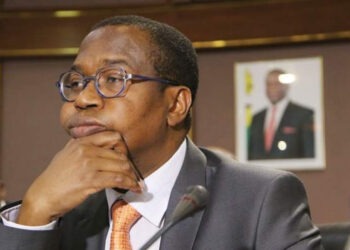 Mthuli Ncube to enact rules for zimbabweans to collect DMTT