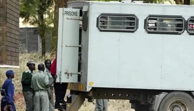 13 border-jumpers nabbed in Victoria Falls