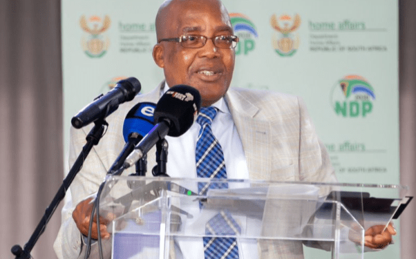 ‘Bus drivers should have been arrested’: Motsoaledi on Zimbabwe minors travel saga