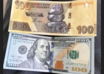 Zim’s local currency continues to depreciate