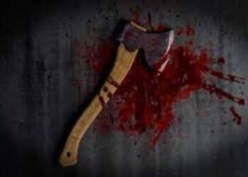 Man (29) k!lls his cousin (4) in cold bl00d with an axe