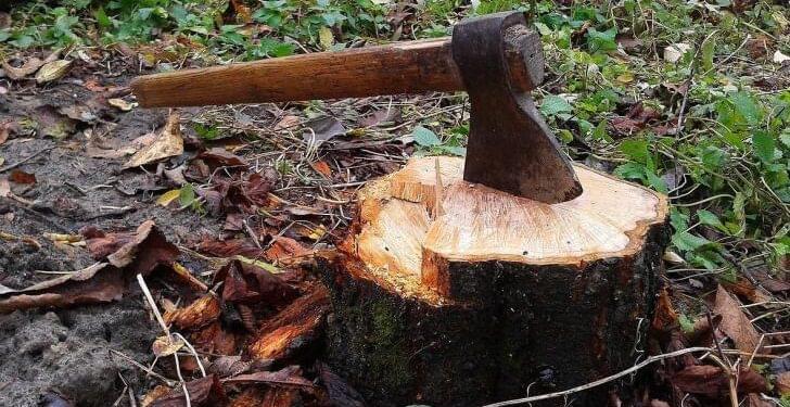 Inyathi Horror: Six robbers launch vicious axe attack on pedestrian