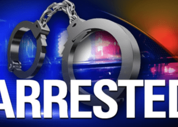 Transport ministry deputy director appears in court for fraud