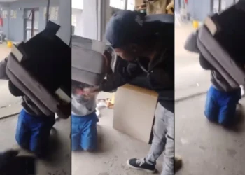 Video : Zimbabwean thief has couch stuck to his head after stealing from  Malawian businessman