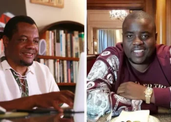 Chin’ono accuses Chivayo of looting public funds