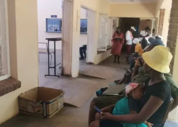 Govt commissions Rutenga passport office