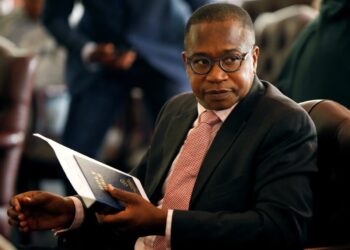 Finance minister presses on open-borders in Africa