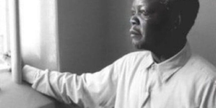 “Spirit of Mandela has settled on Job” , Job Sikhala  leaves the social media buzzing over his Nelson Mandela accent