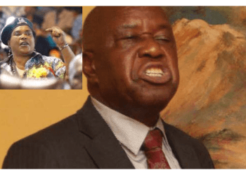 ‘Your days are numbered,’ Mutsvangwa warns Mnangagwa after being axed from job