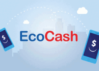 Good News: Ecocash reintroduce Kashagi USD loans