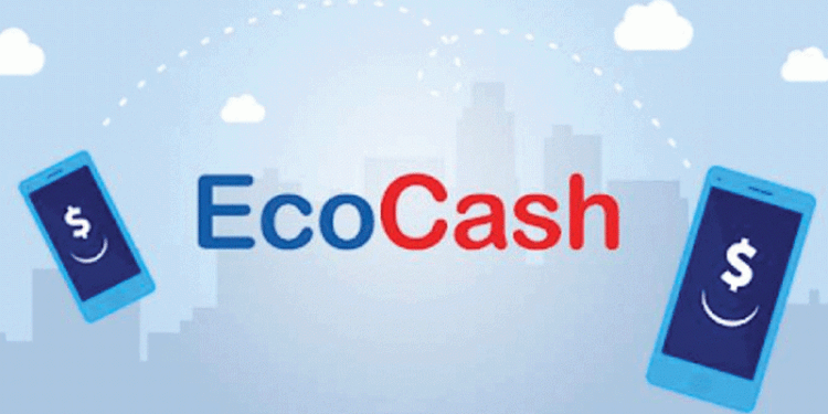 Good News: Ecocash reintroduce Kashagi USD loans