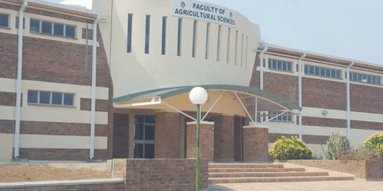 LSU students unable to access  results