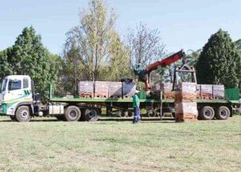 Willdale production declined by 16% due to severe electricity load shedding