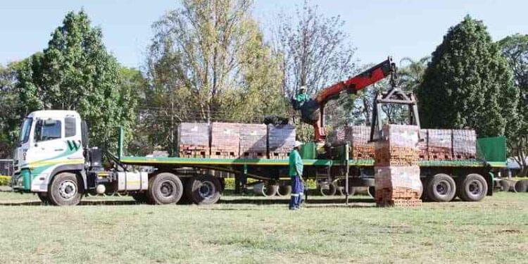 Willdale production declined by 16% due to severe electricity load shedding