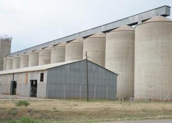 GMB running out of maize stocks