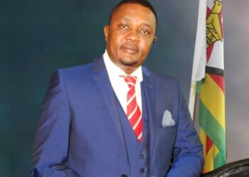 Mzembi slams the ministerial appointment