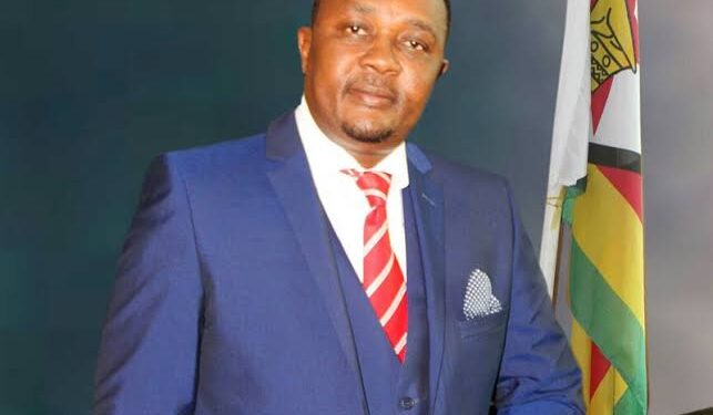 Mzembi slams the ministerial appointment