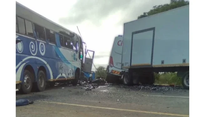 Blue Circle and City Bus forced to cease operations after the accident